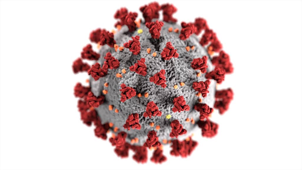 Closeup corona virus COVID-19